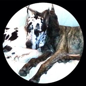 Meet your Posher, Roxann